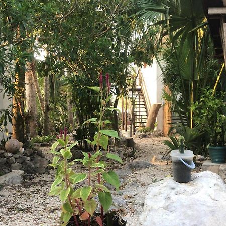 Casa Ik En Coba Ξενοδοχείο Εξωτερικό φωτογραφία