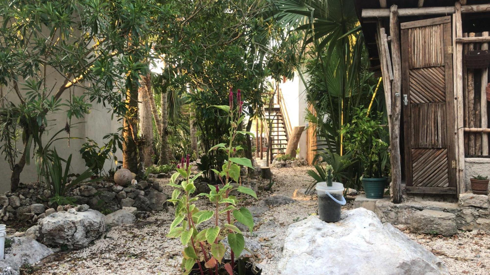 Casa Ik En Coba Ξενοδοχείο Εξωτερικό φωτογραφία